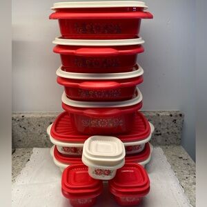 9 The Pioneer Woman plastic food containers with lids. BPA free.